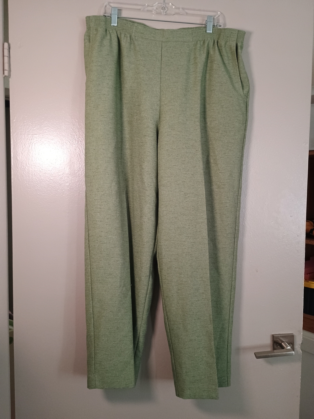 Alfred Dunner Classics Pull-On Straight Leg Pants Green 16W